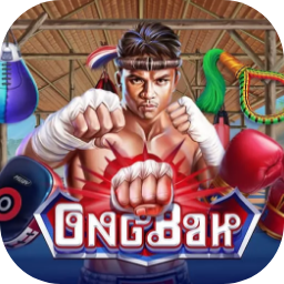 Icon image